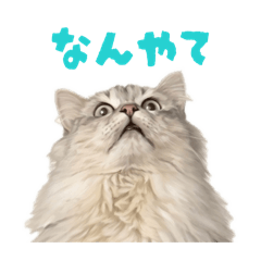 matsushita_20260318152510