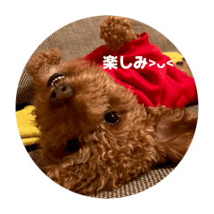 stamp_20260318181215