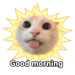 Silly Goofy Dip Catto V.8