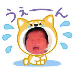 ikawa_20260318183652