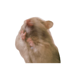 natasha_20260318213249