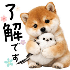 仲良し♡シマエナガと柴犬ちゃん