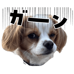 LatePaPa_20260318203915