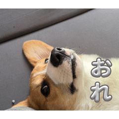 tokokici_20260318205408