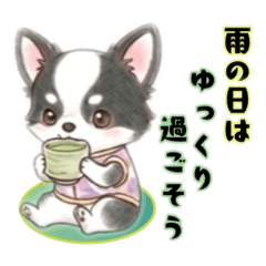 chocotto_20260318211944
