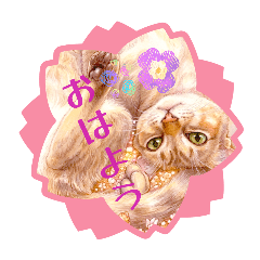 emimi_20260318225223