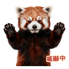 Red Panda Intimidates Pollen