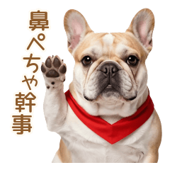 Squishy Frenchie Party Organizer