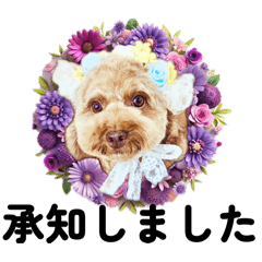 KUROSAKI-P_20260319071710