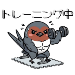 kazue_20260319104522