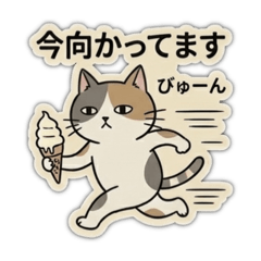 Nicosuki_20260315191820