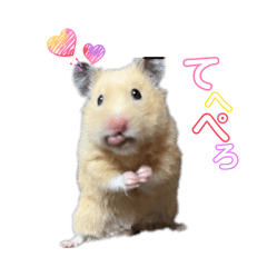 akiemon_20260318162632