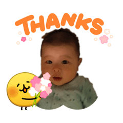 renkon_20260318163317