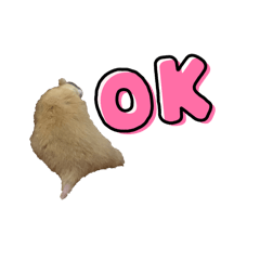 momo_ham