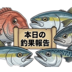 MOMINOKI_20260318162117