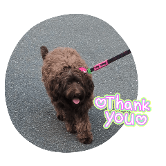 h7676761_20260319112030