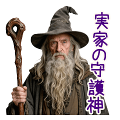 300yo Wizard Living at Homevol.2