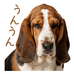 The Void Basset Listens