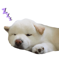 楊爸爸Gi園專屬貼圖