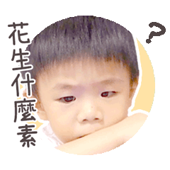 恩仔的生活點滴