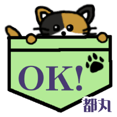 都丸「とまる」ポケット三毛猫 - LINE スタンプ | LINE STORE