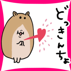 Cute Hamster for Everyday