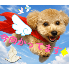 My Jinjin is so cute.