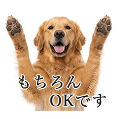 可以永久使用的黃金犬