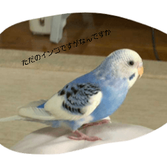 chi-kun_20260318194507