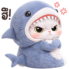 White Cat Shark