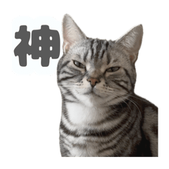 harun_20260319083743