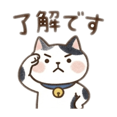 popola_20260319090406