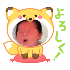 ikawa_20260318165234