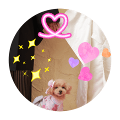 hirorin_20260318164850