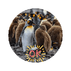 日常用語貼圖 Jacky4