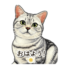 popola_20260318175339