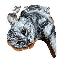 momo neko_20260318223900