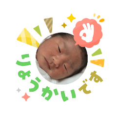 shizu_20260318223732