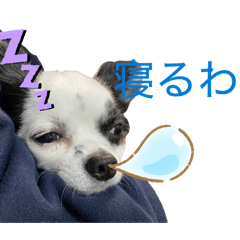 HANOSAN_20260318223627