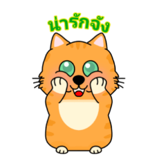 แมวทองอาน