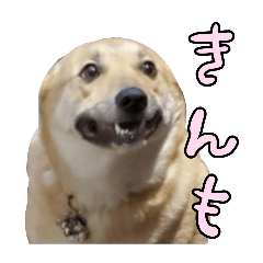 kihakuso_20260319130541