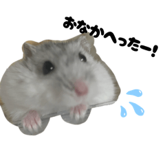 huyuki riku_20260318185329