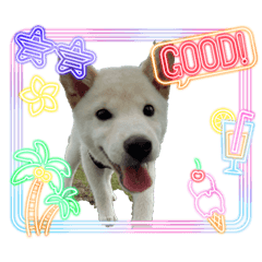 H.Family_20260318185531