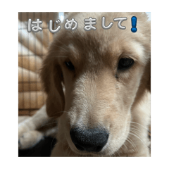 keiji & reo_20260318