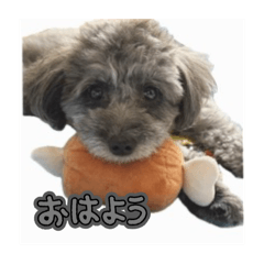 Him_20260318190721