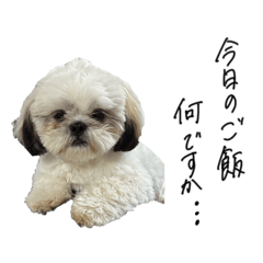 Manaka_20260318190224