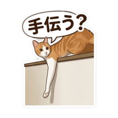 Re-na_20260319131414