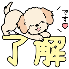 Dog sticker.#18 maltipoo