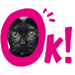 nyanpapa_20260318171537