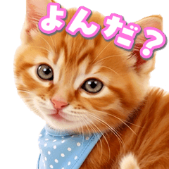 Adorable Baby Kittens